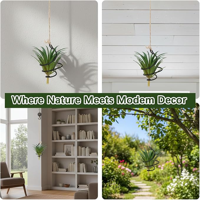 6 Pcs Hanging Air Plant Holder Air Plant Hanger Set Adjustable Rust-Resistant Iron Rings with Jute Ropes, Soilless Plants Stand Tillandsia Succulent Display Container for Home Office Decor