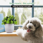 Artificial Plants in Ceramic Planter Cute Lysimachia Fake Succulent Flowers Potted for Home Office Table Desk Decor Living Room Bathroom Bedroom Shelves Decoration