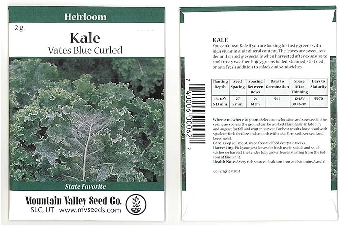 Kale Garden Seeds - Vates Blue Scotch Curled - 2 Gram Packet - Non-GMO, Heirloom- Vegetable Gardening & Microgreens