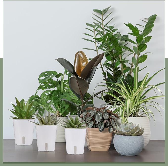 Ziliny 50 Pcs 3 Inch Self Watering Pots Self Watering Planters for Indoor Planters Plastic Garden Flower Pots with Level Indicator Vents for Herbs