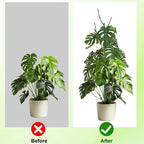 PERSZEN 6 Pack Stackable Monstera Plant Support, Plant Stakes for Indoor and Outdoor Plants Use, Garden Stakes for Climbing and Potted Plants, Pothos, Philodendron