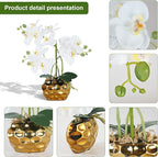 Ziwon Artificial Orchid Flowers & Plants Potted in Ceramic Pot, White Faux Phalaenopsis Orchids for Table Centerpiece, Realistic Fake Flower Arrangement for Home Office Decor Indoor