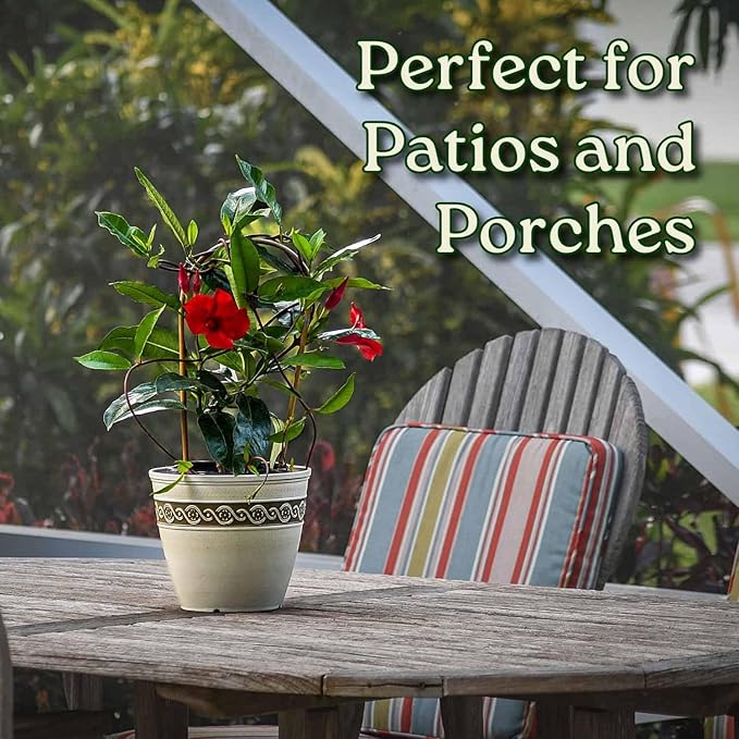 Mandevilla Live Flowering Plant - Red Mandevilla Plant Trellis - 18" Hoop, 18" to 20" Overall Height - 1 Gallon (Plant Only)