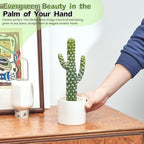 Artificial Cactus Plants - Potted Succulents in Ceramic, Faux Cacti and Succulent Decor for Home, Office Desk，Living Room-1pack