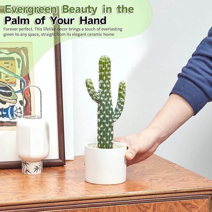 Artificial Cactus Small Fake Succulents Ceramic Plant for Home, Office, Kitchen, Living Room, Desk, Shelf, and Indoor Dec-2packs