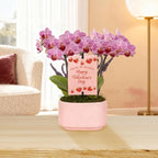 Green Circle Growers 4" Mini Pink Orchid with Lavender – Valentine’s Day Edition in Pink Ceramic Planter, Live Indoor Orchid Gift