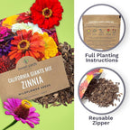 Zinnia Seeds - California Giants Mix - Large 1 Ounce Packet - 3,000 Flower Seeds - Mixed Colors and Large Blooms