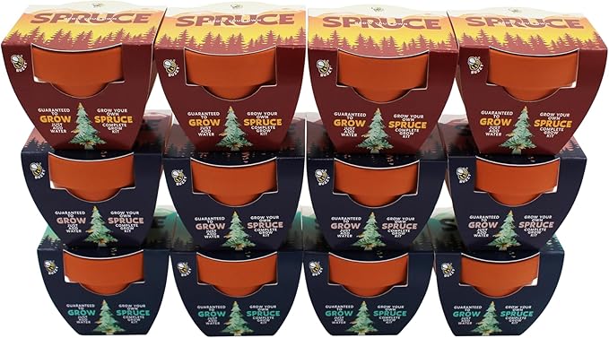 BUZZY Seeds Spruce Tree 12-Pack Mini Terracotta Grow Kits – Sustainable Tree Growing Kit, Includes Everything to Sprout Evergreens, Perfect for Earth Day, Party Favors, or Corporate Gifts