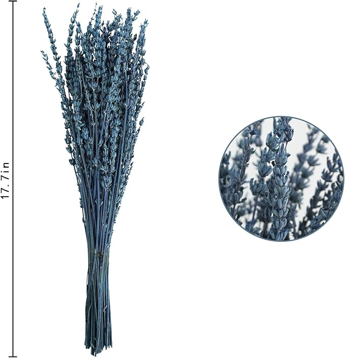 Uieke Dried Lavender Flowers, 16" Preserved Dried Lavender Bundles Blue Flowers Stems Bouquet for Shower Weeding Home Fragrance Vase Crafts Decor, 100g(3.52oz)