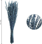 Uieke 12Pack Dried Lavender Flowers Bundles, 16" Dried Blue Flowers Preserved Lavender Stems Bouquet for Shower Weeding Home Fragrance Vase Crafts Decor, 600g(21oz)