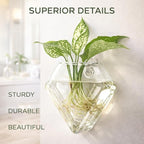 Yungyan 6 Pack Glass Wall Vase Plant Propagation Wall Hanging with Nail Hooks Diamond Propagation Station Flower Vase Glass Terrariums Plant Hanger for Home Office Bathroom Living Room Decor