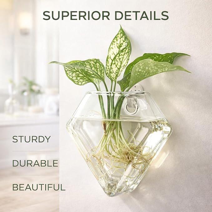 Yungyan 6 Pack Glass Wall Vase Plant Propagation Wall Hanging with Nail Hooks Diamond Propagation Station Flower Vase Glass Terrariums Plant Hanger for Home Office Bathroom Living Room Decor