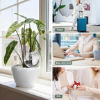 2 Pack Plant Watering Globes with Covers 17oz Self Watering Planter Insert, Plastic Water Bulbs, Indoor/Outdoor Plant Watering Devices for Automatic Drip Irrigation