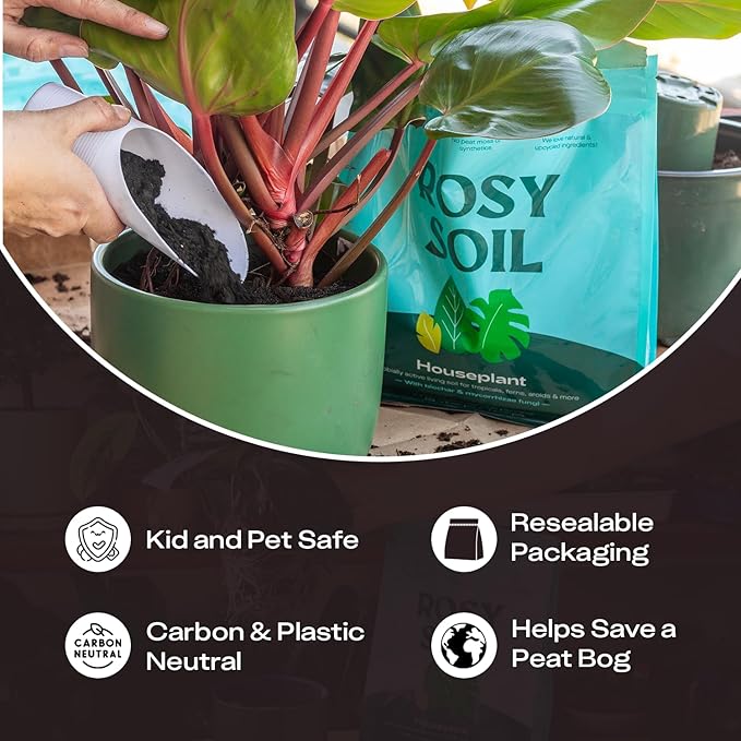 Rosy Soil Indoor Potting Soil for House Plants - Organic Potting Soil Mix for Indoor Plants - Enriched w/Root-Boosting Biochar for Foliage Plants, Flowers, Herbs - Peat Free, Less Prone to Gnats - 4qt