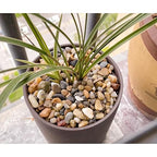 CJGQ 18lb 1/4/'' Polished Pebbles for Plants Potting,Succulents Aquarium Fish Tank Vases-Decorative River Rocks Garden Gravel Stones