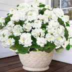 TURNMEON Artificial Geraniums Flowers for Outdoors Summer Decoration, 4 Bundles Fake Flowers Silk White Flowers UV Resistant No Fade Faux Plants for Planter Gardens Table Porch Indoor Cemetery Decor