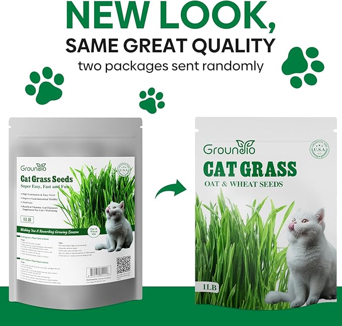 Groundio Cat Grass Seeds, 16 OZ, Grown in The USA for Indoor Cats, Non-GMO, 1 Pound