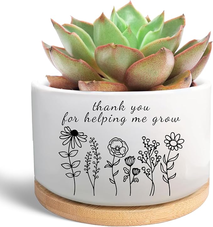 Thank You Gifts for Teacher from Students, Ceramic Plant Pot for Succulent, Flower Planter, Teacher Appreciation Gifts for Teachers Day, Thank You for Helping Me Grow (Plants Not Included)