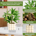 Small Money Tree Bonsai 10 inch Artificial Desk Plant in White Ceramic Pot, Realistic Indoor Faux Potted Pachira Money Plant for Home Office Living Room Decor(Maintenance Free)