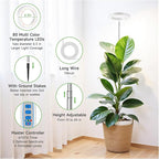 6.3in Grow Light, 80 LED Full Spectrum Halo Plant Lights for Indoor Growing, Height Adjustable 10"-65" Growing Lamp, Auto Timer 6/12/16Hrs, 3 Lighting Modes, Idea for Large Plant, 3 Pack