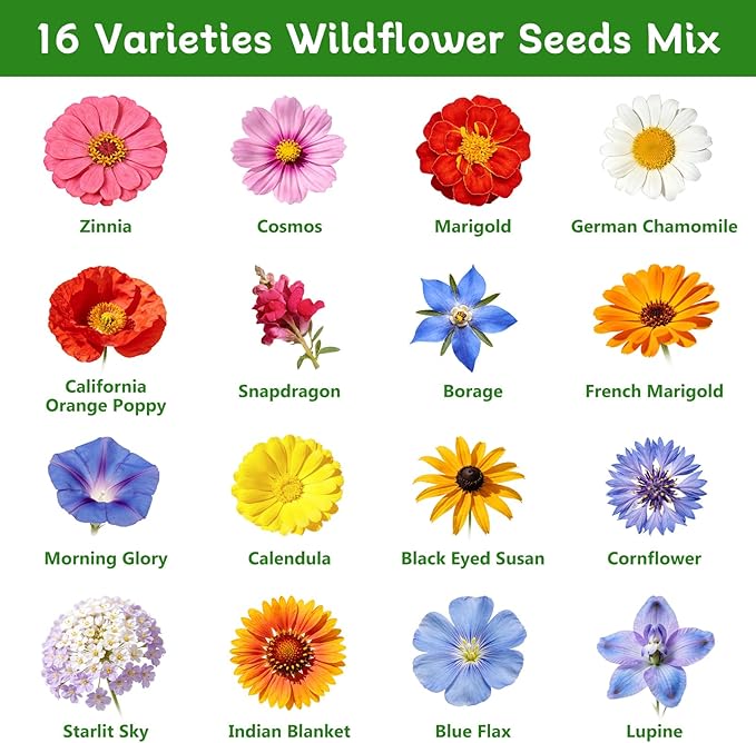 LUOJIBIE Wildflower Seeds Bulk, 20,000+ Flowers Seeds for Planting Outdoor, 16 Varieties Annual & Perennial Flowers Seeds Mix Color for Garden, 4 Oz Packet, Non-GMO, Attracts Pollinators, Easy to Grow