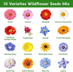 LUOJIBIE Wildflower Seeds Bulk, 20,000+ Flowers Seeds for Planting Outdoor, 16 Varieties Annual & Perennial Flowers Seeds Mix Color for Garden, 4 Oz Packet, Non-GMO, Attracts Pollinators, Easy to Grow