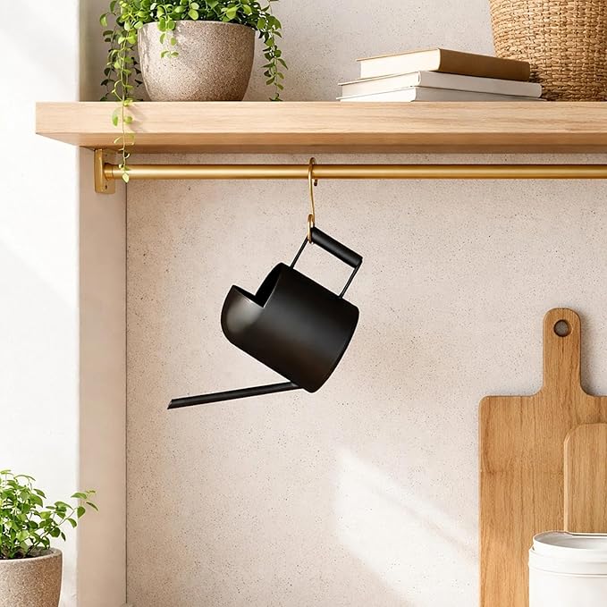 IMEEA Mini Watering Can for Indoor Plants Stainless Steel Small Watering Can 11oz/300ml