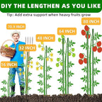 Fabulas Garden Stakes 16 Inch 30 Pack, Diy 4ft 5ft 6ft 7ft 8ft Tomato Stakes Plastic Coated Metal Plant Sticks Stakes Supports with 20 Connectors 15 Rotatable Clips for Indoor Outdoor Plants Vegetable