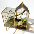 Ready-to-Use Glass Terrarium with Vents - 8.66"x4.72"x8.46" House-Shaped Jumping Spider Enclosure, Habitat for Praying Mantis, Snails, Insect or Succulent Plants - Home Garden Tabletop Decor