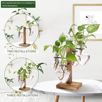 Plant Terrarium Propagation Stations with Wooden Stand, Glass Vase for Indoor Hydroponics Home Garden Office Decoration Gift for Women - 4 Love Bulb Vase