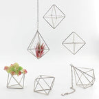 Geometric Silver Iron Air Plant Hangers and Stands Set - 2 Hanging with Chains + 4 Tabletop Holders for Tillandsia, Succulents, Modern Home Decor, Wall or Desk Display