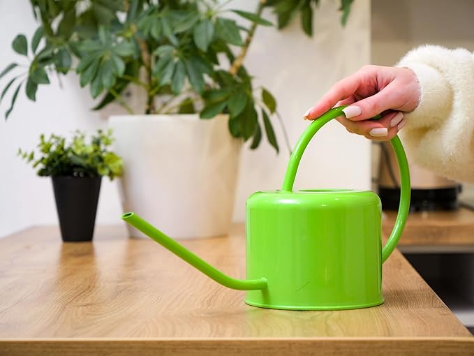 Plexon Long Spout Watering Can Indoor Plants, 40 oz Small Watering Can Pot Metal for Garden Flowers House Plants Mini, Powder Coated, for Mom Girlfriend Daughter, Green
