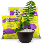GARDENERA Premium Organic Perlite - Medium Grade - Horticultural Soil Amendment for Indoor & Outdoor Container Plants for Drainage Management and Enhanced Growth - 3 Quart