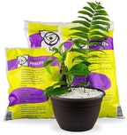 Premium Organic Perlite - (Made in Ukraine) Horticultural Soil Amendment for Indoor & Outdoor Container Plants for Drainage Management and Enhanced Growth - 4 Quart