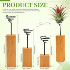 6 Pack Air Plant Holder with Wooden Base, Metal Spiral Tillandsia Stands for Desktop Shelf Display, Decorative 3 Sizes Air Plant Holder for Home Office and Housewarming Gift