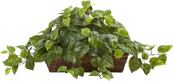 Nearly Natural 34in Artificial Pothos Ivy Plant with Ledge Basket Faux Trailing Cascading Greenery for Indoor Home Decor