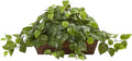 Nearly Natural 34in Artificial Pothos Ivy Plant with Ledge Basket Faux Trailing Cascading Greenery for Indoor Home Decor