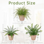 3 Pack Artificial Fern Plant, Small Fake Plants in Pot, Faux Fern Plant for Home Office Farmhouse Living Room Bathroom Kitchen Tabletop Desk Shelf Decoration