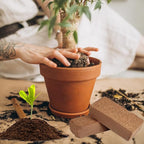 ZeeDix 8 Pack Coco Coir Brick (11.2lbs), 100% Organic Coconut Coir for Garden Soil & Potting Mix, Low EC and pH Balance, Compressed Coconut Husk Fiber for Seed Starter Soil for Indoor Outdoor Plants