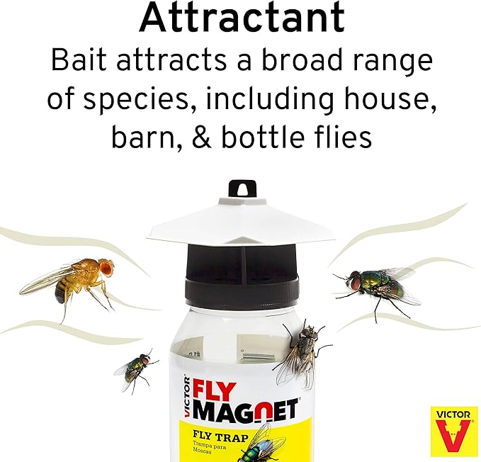 Terro T380 Outdoor Reusable Fly Magnet Fly Trap - Poison Free Trap with Bait (Pack of 2)