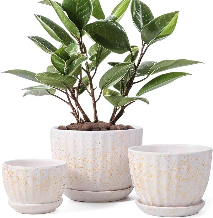 STHIE Ceramic Plant Pots with Drainage Holes and Saucers, Round Flower Pots for Indoor Plant, Diameter 3.3/4.3/5.5 Inches Small Flower Planters Set of 3