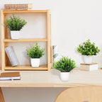 Yoratee 4 Pot Small Fake Plant Flowerpot Artificial Plastic Eucalyptus Plant Wheat Grass Shrub Plant Indoor Desk Coffee Table Bathroom Bedroom Home Decoration (4)