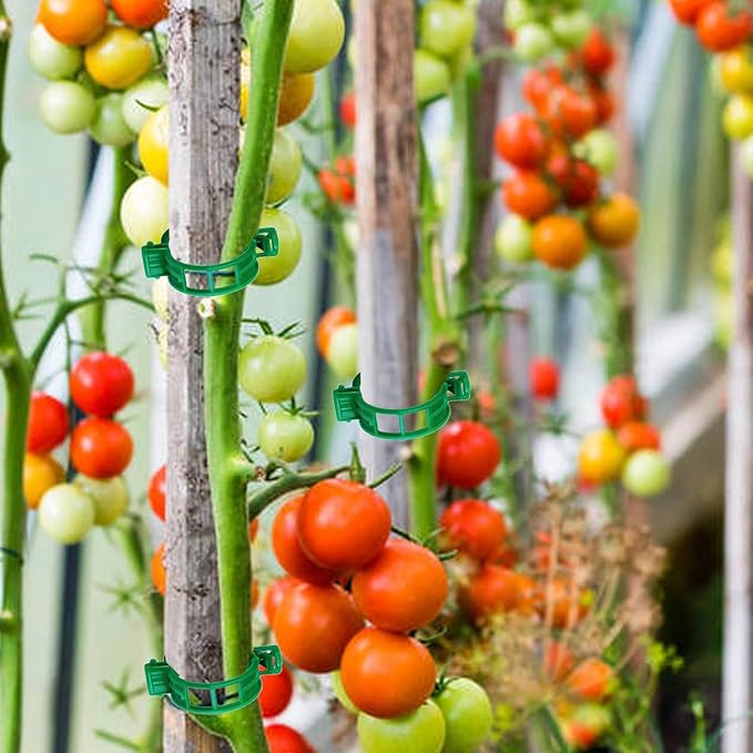 Tomato Clips for String Trellis, 50pcs Plant Support Clips - Grape Vine Clips for Garden Netting Climbing Plants, Secured Plastic Plant Clip for Fixing Stem and Vine (50, Green)