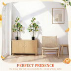 Suncalla 2 Pack Artificial Orange Potted Plants 31.5 Inches Fake Orange Tree Simulation Realistic Fruit Plant with Pot Faux Tree Indoor Decoration for Home Office Living Room Table Desk