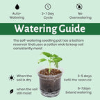 Bluepro 18 Pack 6.5/5/4 Inch Clear Self Watering Plant Pots with Bottom Water Tray & Watering Rope, Transparent Nursery Pots with Drainage for Seedlings, Herbs, and Houseplants