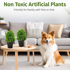 2 Pack Realistic Artificial Potted Plants Simulation Welcoming Pine,9.5" Small Faux Greenery for Desk Office Home Christmas Decorations, Pet Friendly Faux Cedar Shrubs in Pot (Maintenance Free)
