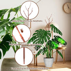 PERSZEN 6 Pack Stackable Monstera Plant Support, Plant Stakes for Indoor and Outdoor Plants Use, Garden Stakes for Climbing and Potted Plants, Pothos, Philodendron, Brown