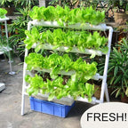 Hydroponics Growing System Kit 36 Plant Sites Food-Grade PVC-U Pipes Hydroponic Grow Kit Gardening System for Vegetables,Fruits,Herb