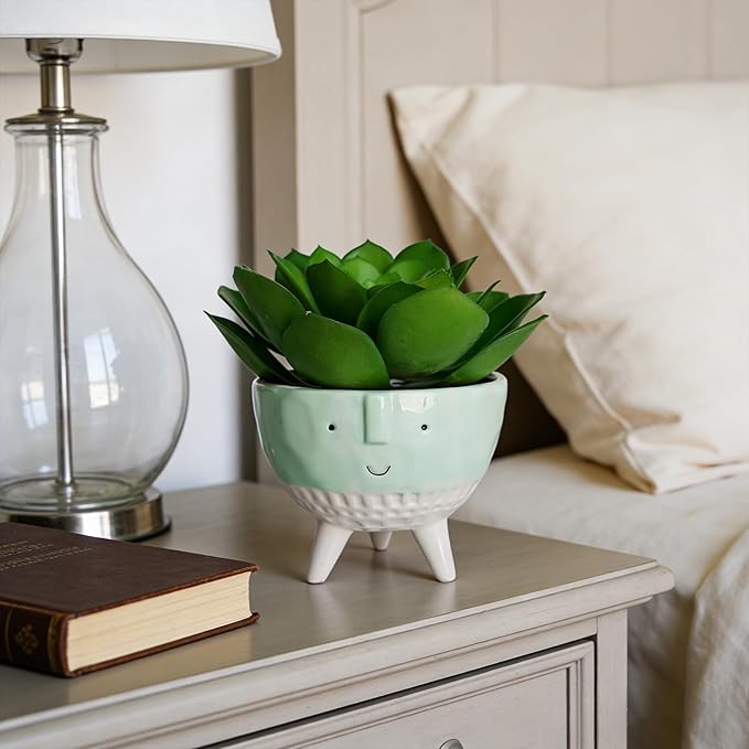 Faux Agave, Fake Succulents, Artificial Plants in Cute Smiling Face Pot - 7" Small Potted Greenery for Office Desk Decor, Funny Shelf Accessories & Unique Gifts for Women Coworker