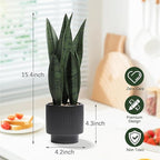 Artificial Plants Sansevieria Snake Plant with Black Ceramic Pot Desk Small Fake Plant for Indoor Living Room Kitchen Bathroom Farmhouse Home Decor